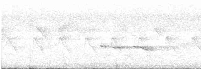 Puff-throated Babbler - ML612335023