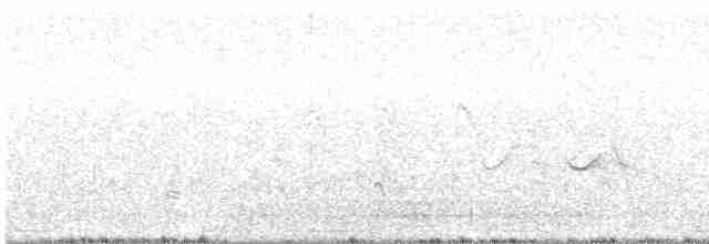 White-tailed Iora - ML612335468
