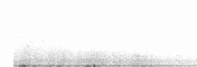 Серогрудый тиранн - ML612337303