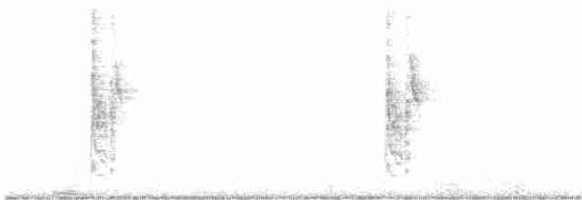 Beyaz Gerdanlı Tovi - ML612341065