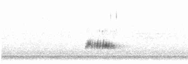 Пірникоза західна - ML612341432