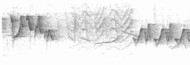 Gri Böğürlü Kamışbülbülü - ML612347918