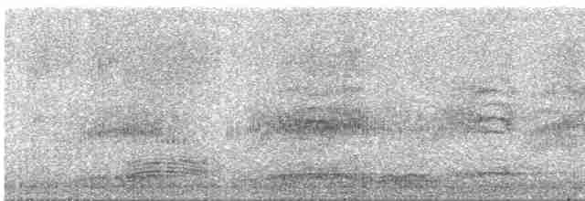 Channel-billed Cuckoo - ML612348004