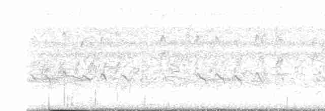 Kara Karınlı Islıkçı Ördek - ML612349838