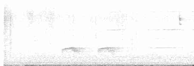 White-crested Elaenia - ML612350129