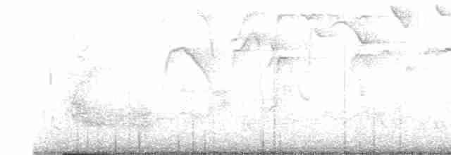 Çizgili Sırtlı Çıtkuşu - ML612351752