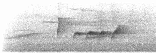 gulbrystbåtnebb - ML612352193
