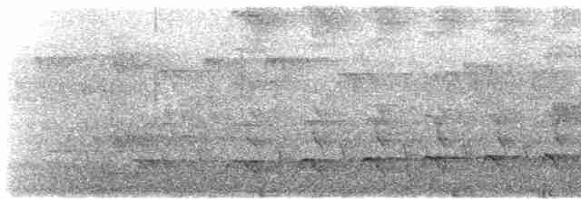 Turuncu Göğüslü Cennet Yalıçapkını - ML612352271