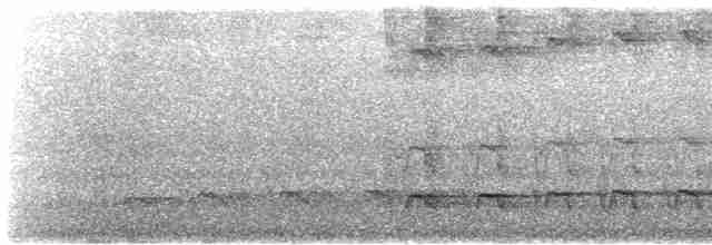 Белохвостый райский зимородок - ML612352272