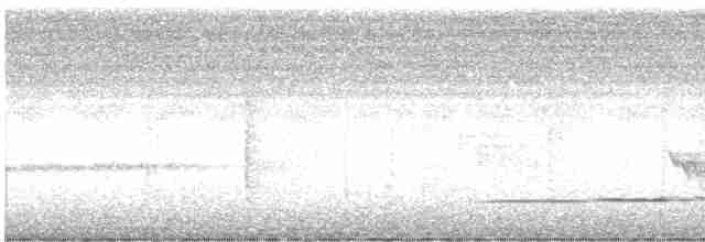 Очковый торорой - ML612352357