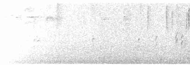 Kara Kulaklı Hemispingus - ML612352754