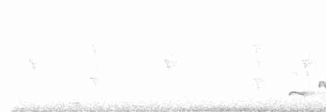 Karaca Karıncakuşu - ML612355764