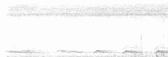 Trogon aux yeux blancs - ML612356287