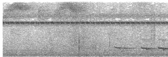 Trogon rosalba - ML612356384