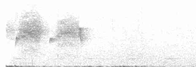 Strichelkopf-Ameisenfänger - ML612356528