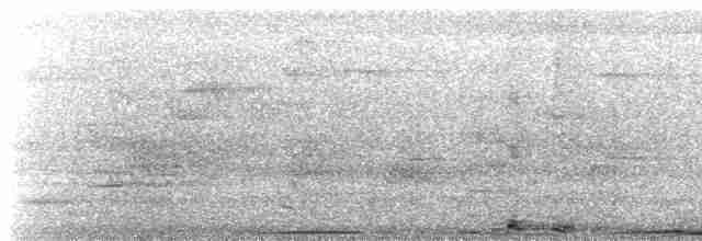 holub čarokrásný - ML612357814