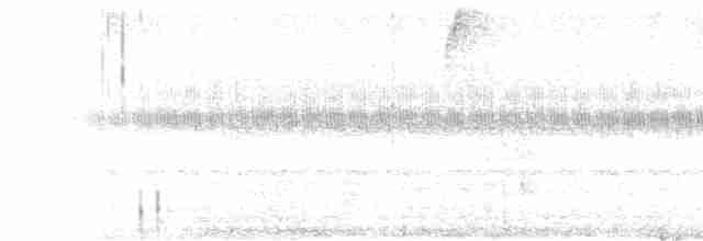 Rostbrust-Ameisendrossel - ML612358592
