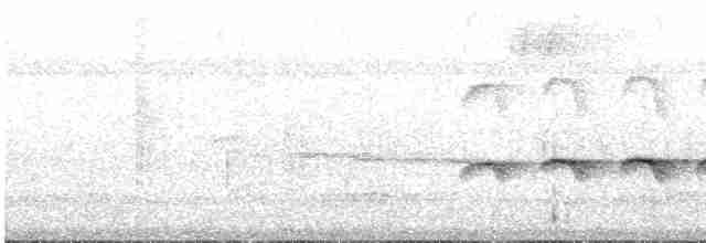 Kara Yüzlü Karıncakuşu - ML612359207