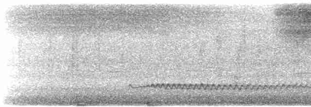 Turuncu Göğüslü Cennet Yalıçapkını - ML612359240