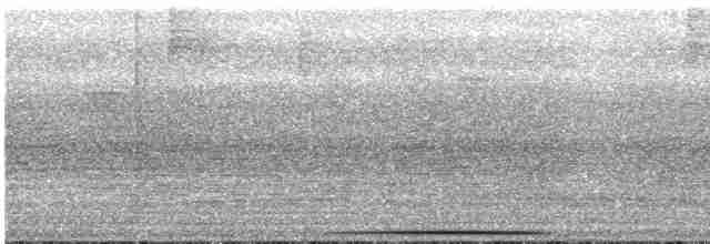 holub šedočelý - ML612359269