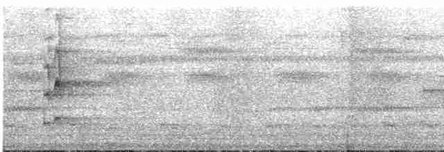 Ak Karınlı Todi Tiranı - ML612359482