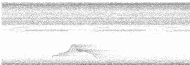Pauraquenachtschwalbe - ML612361011