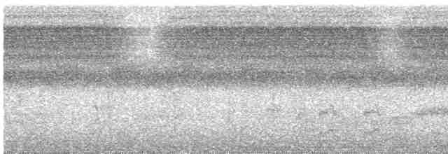 holub šedočelý - ML612361939
