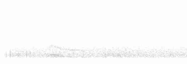 Дятел-смоктун білочеревий - ML612365652