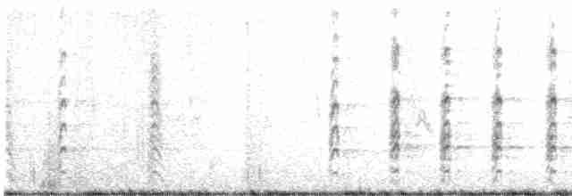 svartkronestylteløper (knudseni) - ML612366075