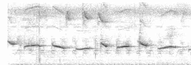 Пятнистогрудая тимелия-говорушка - ML612367204