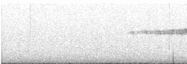 Plumbeous Redstart - ML612367557