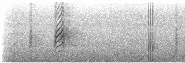白胸燕鵙 - ML612367636