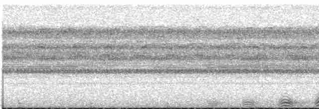 Chouette à lignes noires - ML612367654