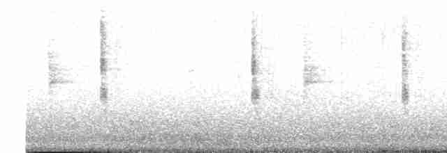 Common Yellowthroat (trichas Group) - ML612368144