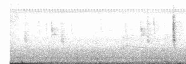 Common Yellowthroat (trichas Group) - ML612368179