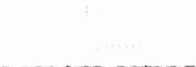Малюр-м’якохвіст блідий - ML612369796