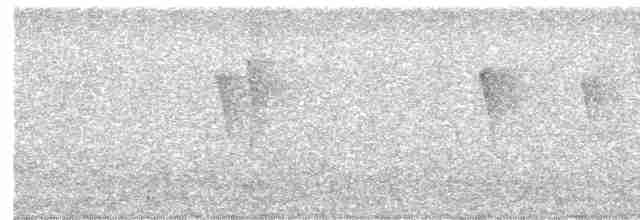 Gri Başlı Kanarya Sinekkapanı - ML612369838
