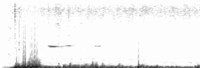 flekkdiamantfugl (xanthopyge) - ML612369889