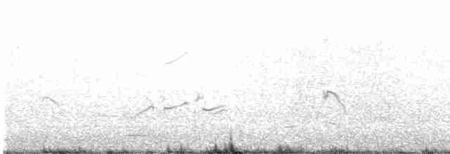 Gray-tailed Tattler - ML612370035