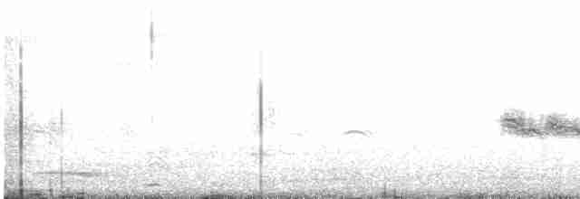 Gray-crowned Yellowthroat - ML612371372