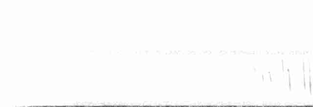 ornathonningeter - ML612371726