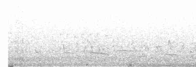 Australian Reed Warbler - ML612371900