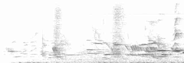 Méliphage carillonneur - ML612378655