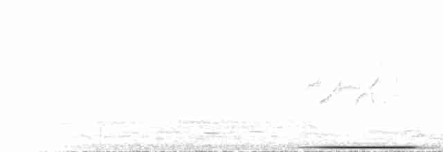 holub bronzovokřídlý - ML612380258