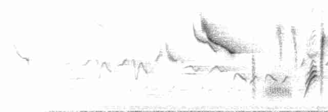 Шиподзьоб рудогузий - ML612380284