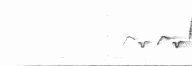 Скрытный ложнокрапивник - ML612380288