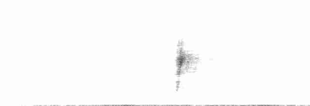 Séricorne timide - ML612380411