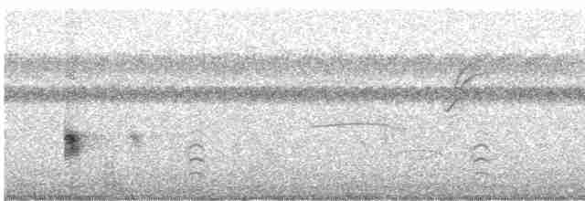 Chalk-browed Mockingbird - ML612380683