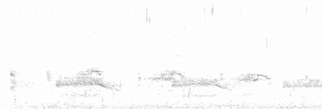 Uroilanda handia - ML612382832