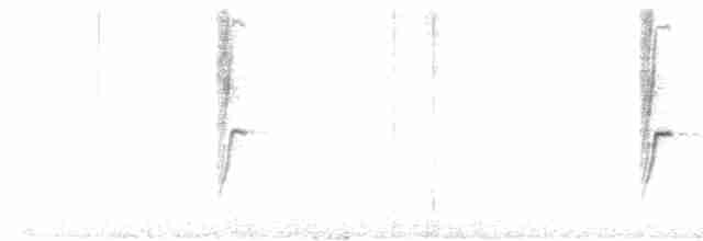 Txonta arrunta - ML612382843